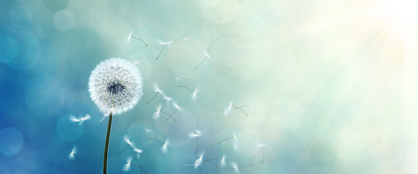 A dandelion with seeds blowing away in the wind, set against a blue and green background.